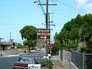 �s���L�[�X�g�[���[