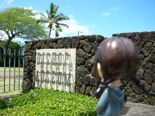 �s���L�[�X�g�[���[