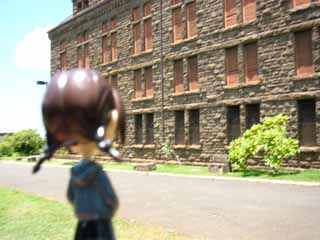 �s���L�[�X�g�[���[