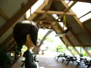 �s���L�[�X�g�[���[