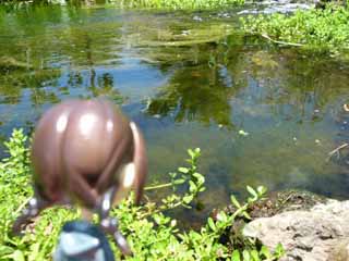 �s���L�[�X�g�[���[