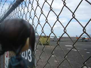 �s���L�[�X�g�[���[