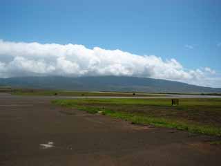 �s���L�[�X�g�[���[