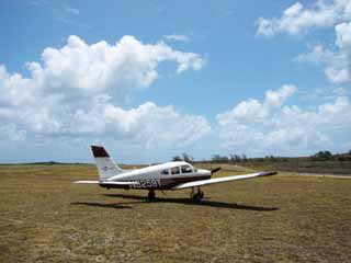 �s���L�[�X�g�[���[