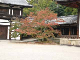 ���������|�b�v����Ł`