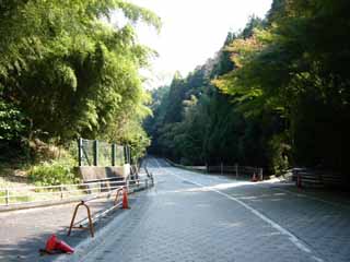 ���������|�b�v����Ł`