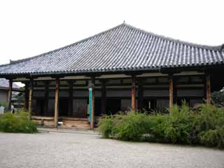 ���������|�b�v����Ł`