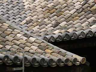 ���������|�b�v����Ł`