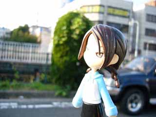 �V��{�̉��F�����z