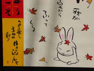 ���x�p�N�낤