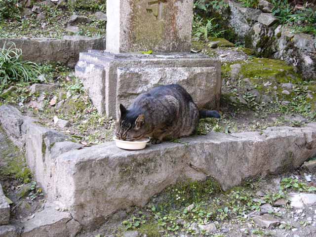 ����ȂƂ�����邩!!