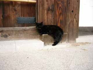 �����͏\��_������