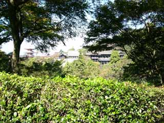 ���������|�b�v����Ł`