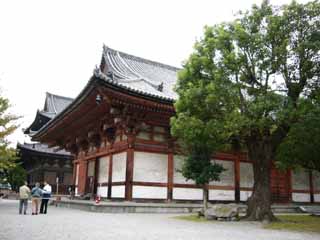 ���������|�b�v����Ł`