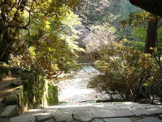 ���������|�b�v����Ł`