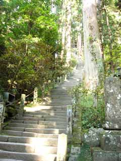 ���������|�b�v����Ł`