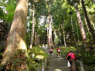 ���������|�b�v����Ł`