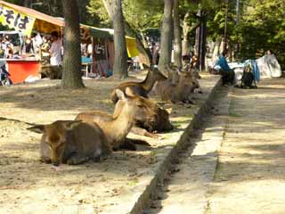 ���������|�b�v����Ł`