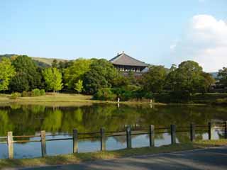 ���������|�b�v����Ł`